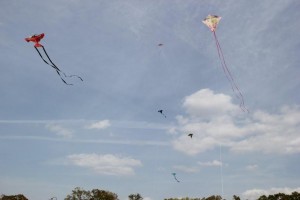 kite day 4